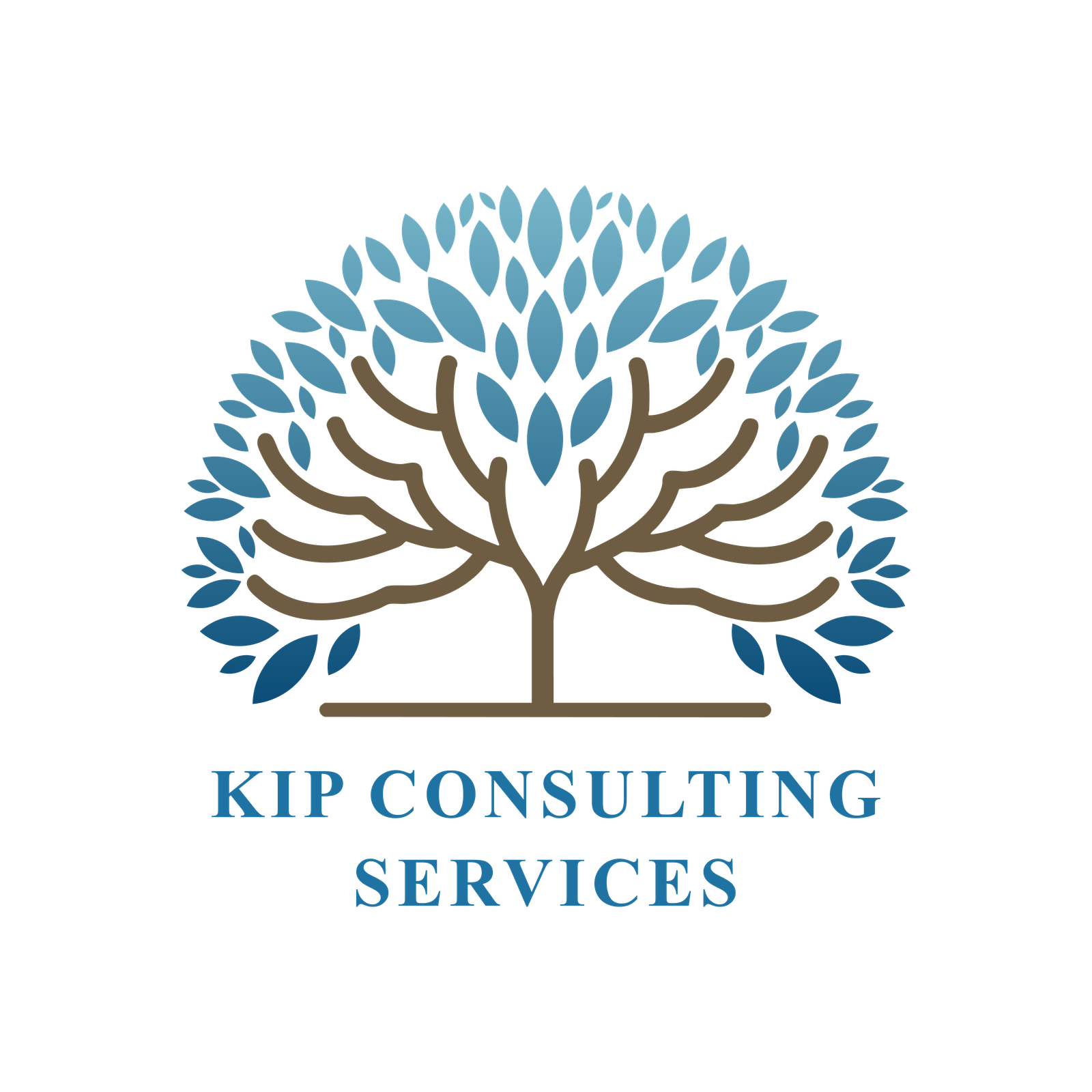 KIP Consulting Services